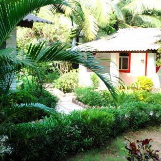 Jolly Jolly Lester, Goa 4